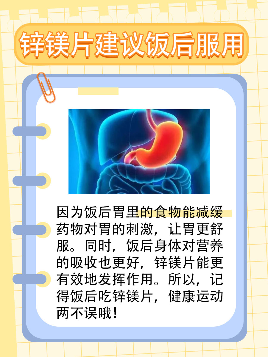 锌镁与肌酸：你的运动搭档