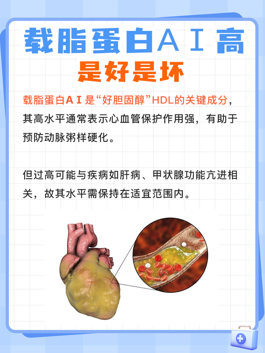 载脂蛋白AⅠ偏高：利与弊的探讨