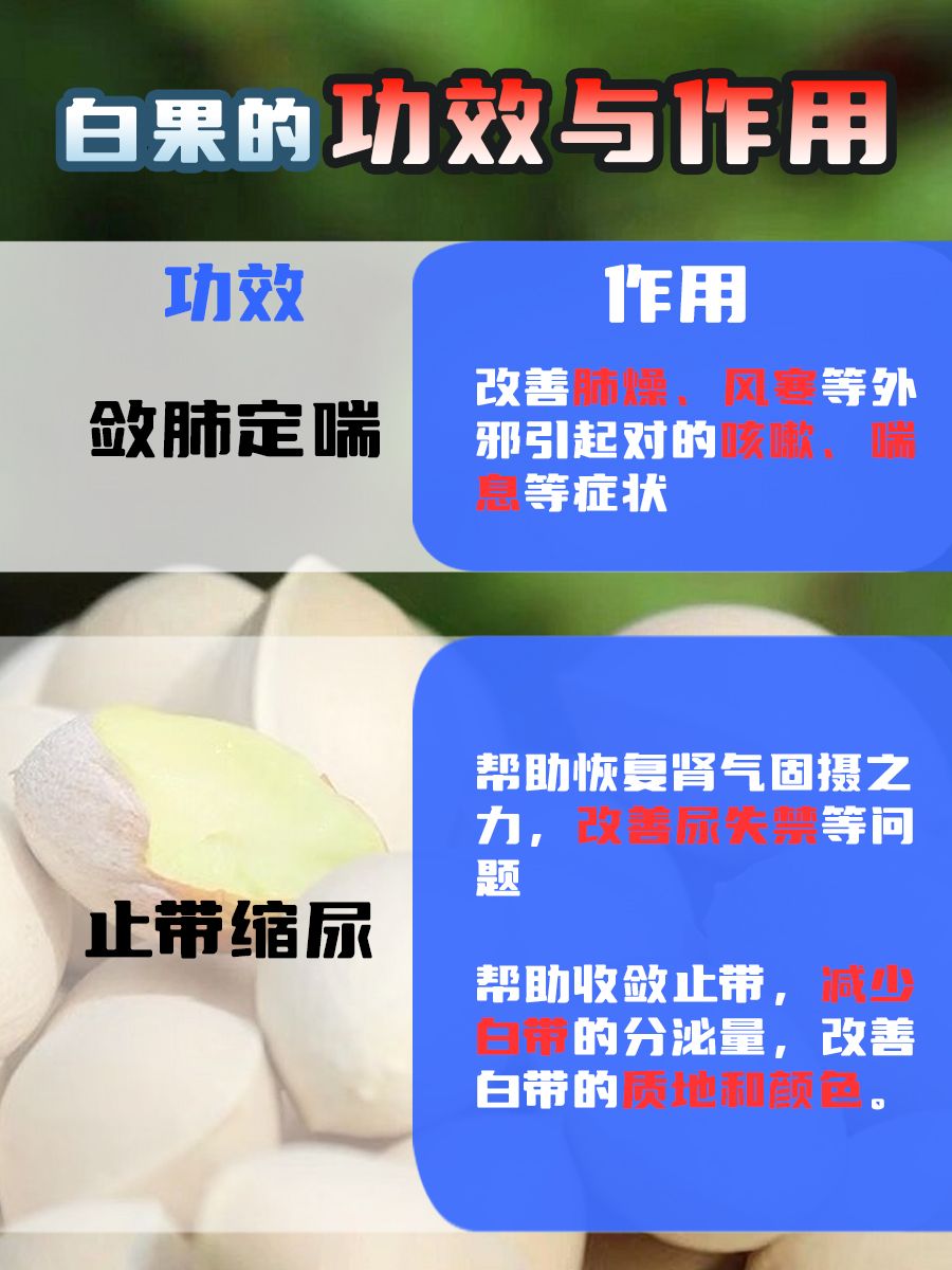 惊！白果竟藏有这些宝藏功效与作用