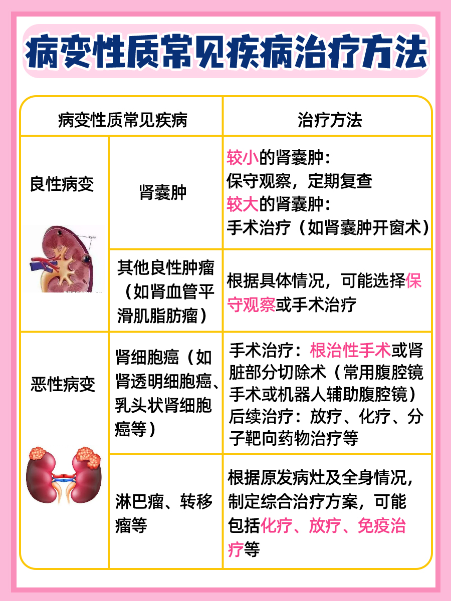 肾占位性病变：了解其含义与日常注意事项