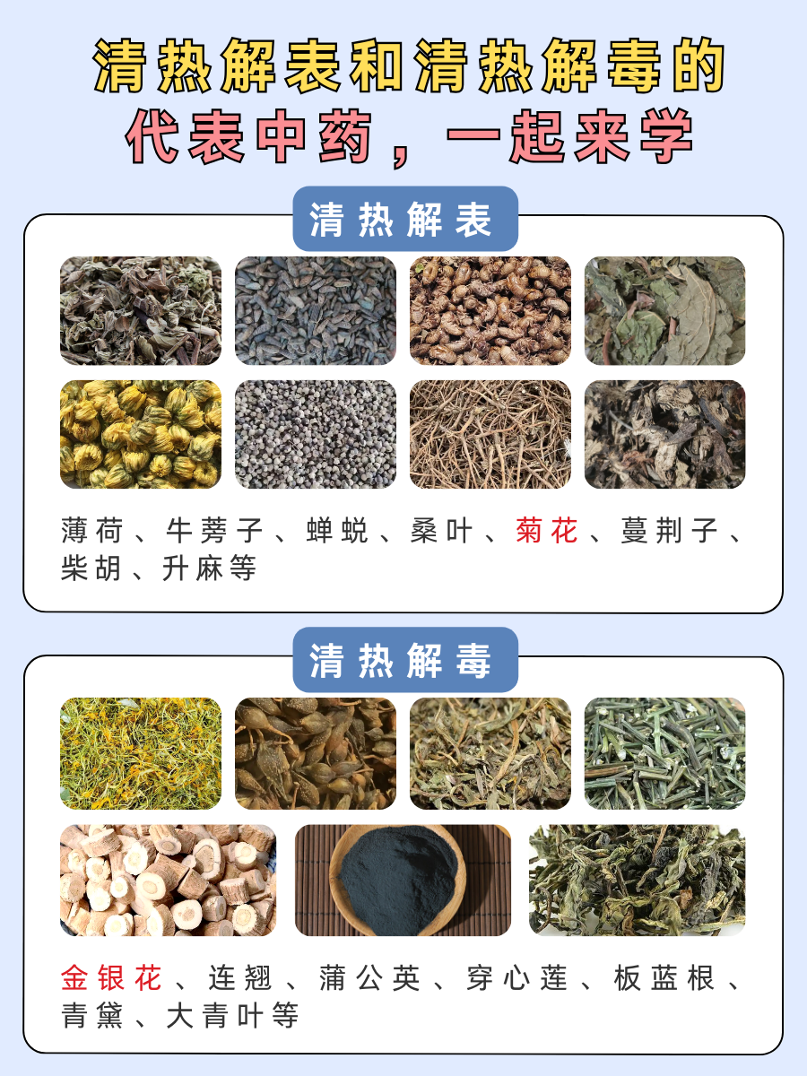 中医分析：清热解表和清热解毒的区别