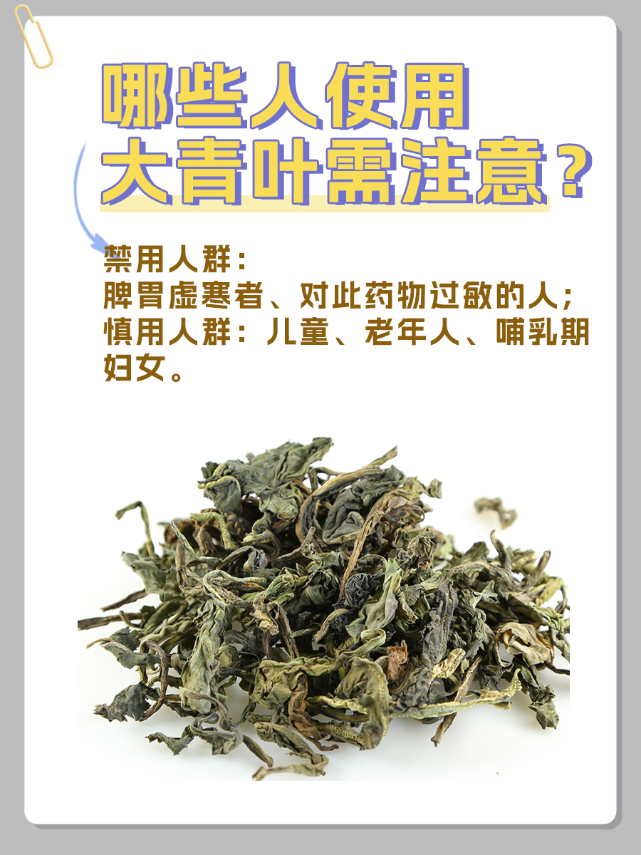 中药材小知识！大青叶有何功效与作用？
