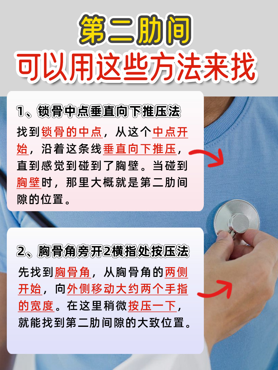 锁定！第二肋间隙就在这两肋之间