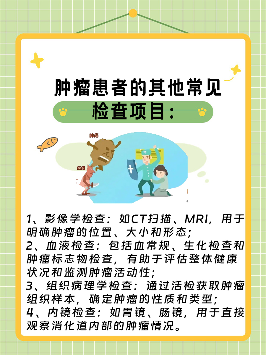 肿瘤FISH检测费用，详细讲解看这里！
