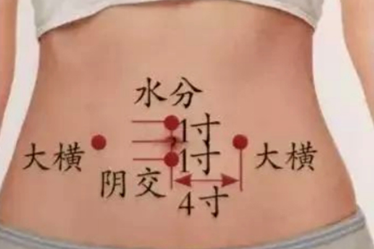 肚脐下一寸阴交穴位置图 肚脐下一寸阴交穴位置图