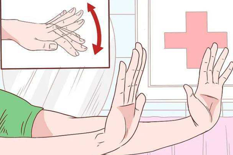 扑翼样震颤示意图