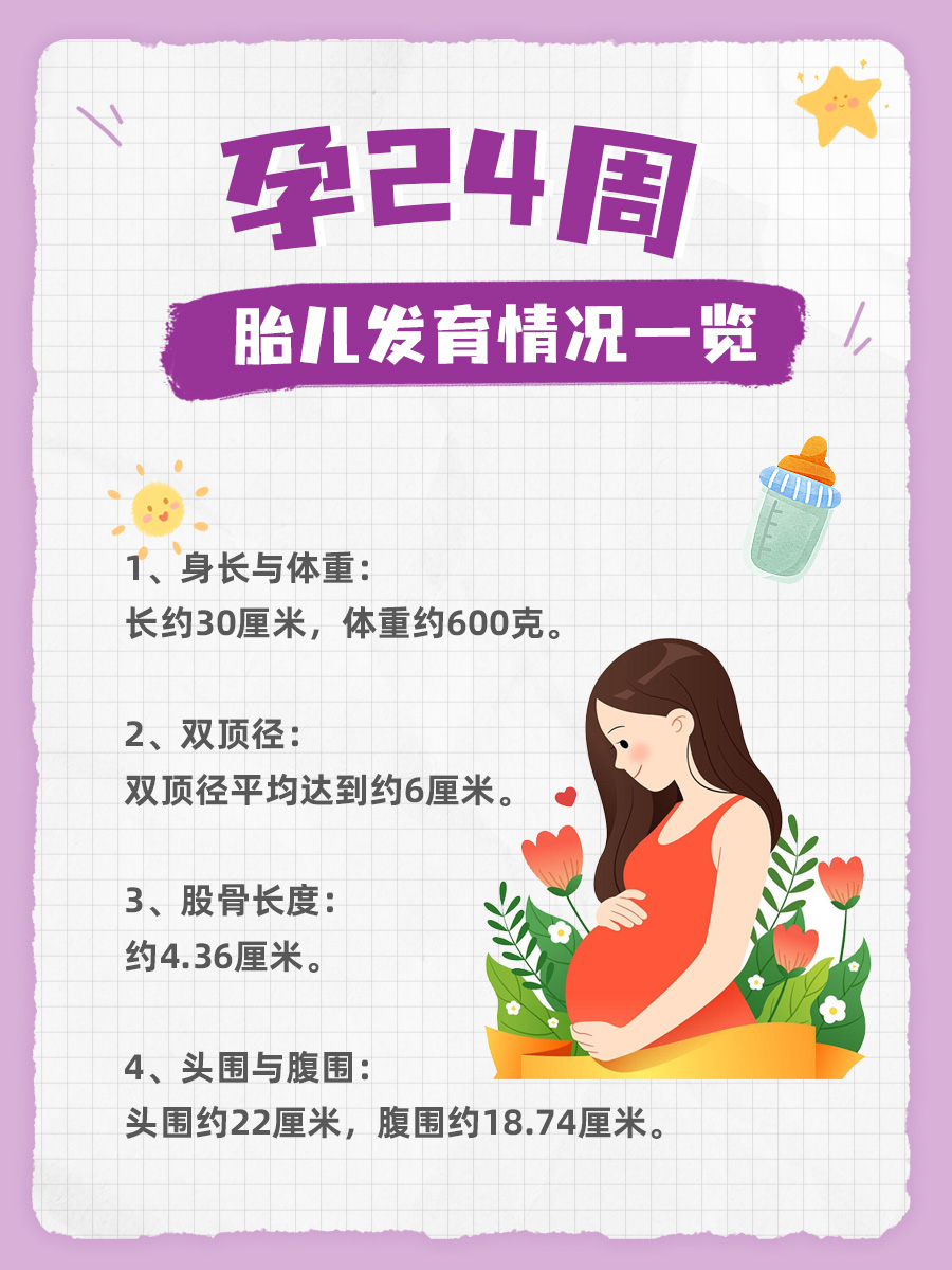 孕期24周，胎儿发育标准数据大公开！