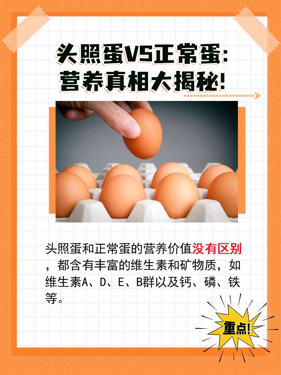头照蛋VS正常蛋：营养真相大揭秘！