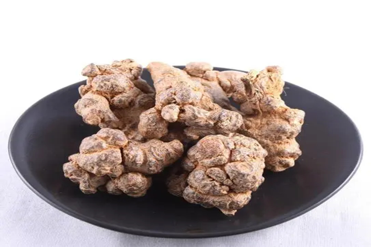 中药田七图 中药田七图