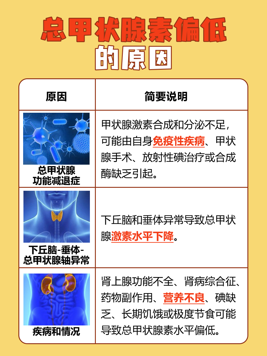 总甲状腺素偏低,原因是什么?