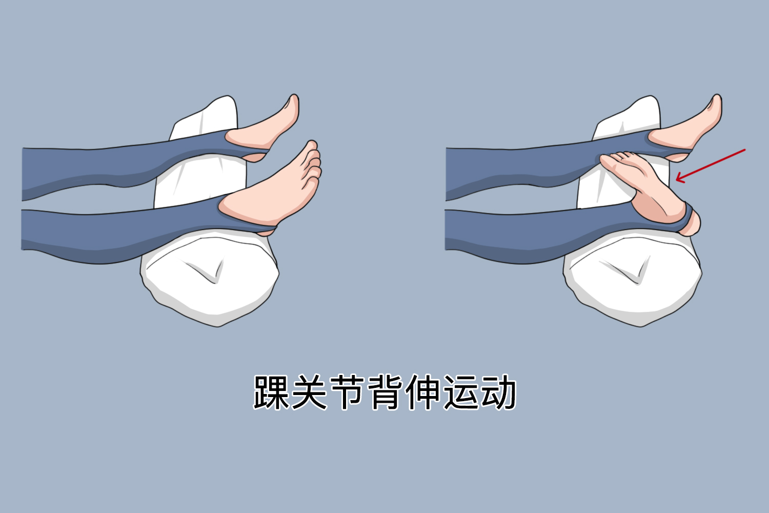 踝关节背伸运动图