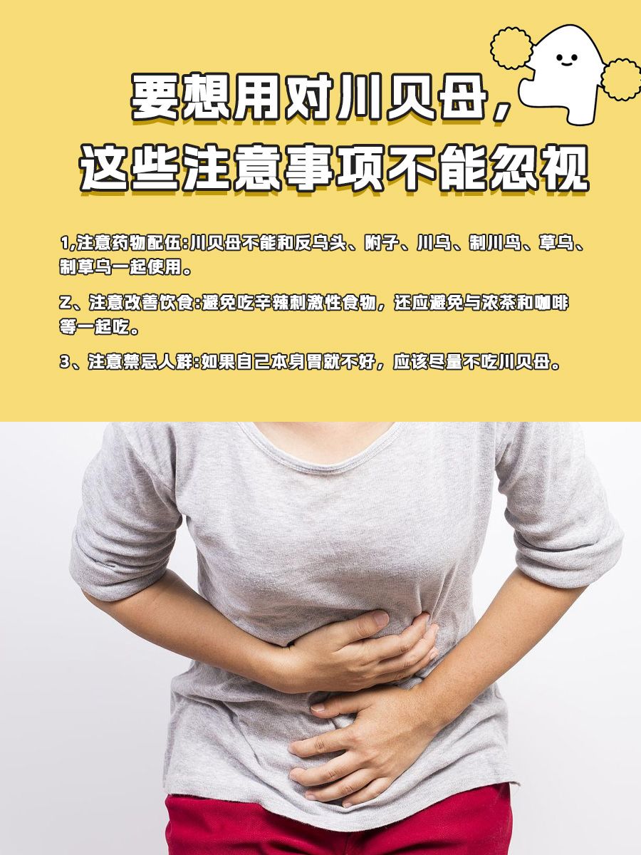 “怀中抱月”川贝母，你认识吗？