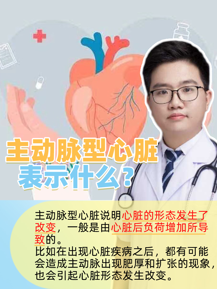主动脉型心脏表示什么？
