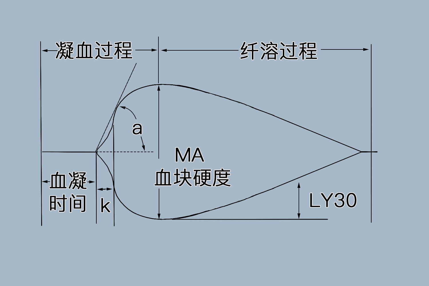 查血栓弹力图的意义图片