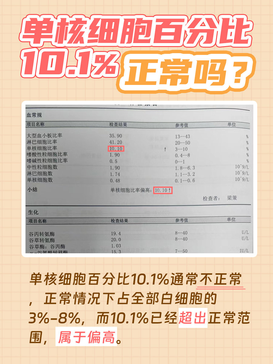 单核细胞百分比10.1%是否正常？一文解答