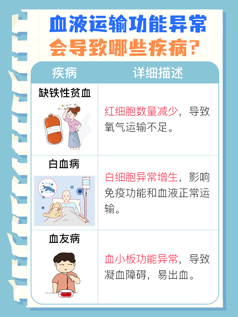 揭秘血液的运输功能,靠什么完成这一过程?