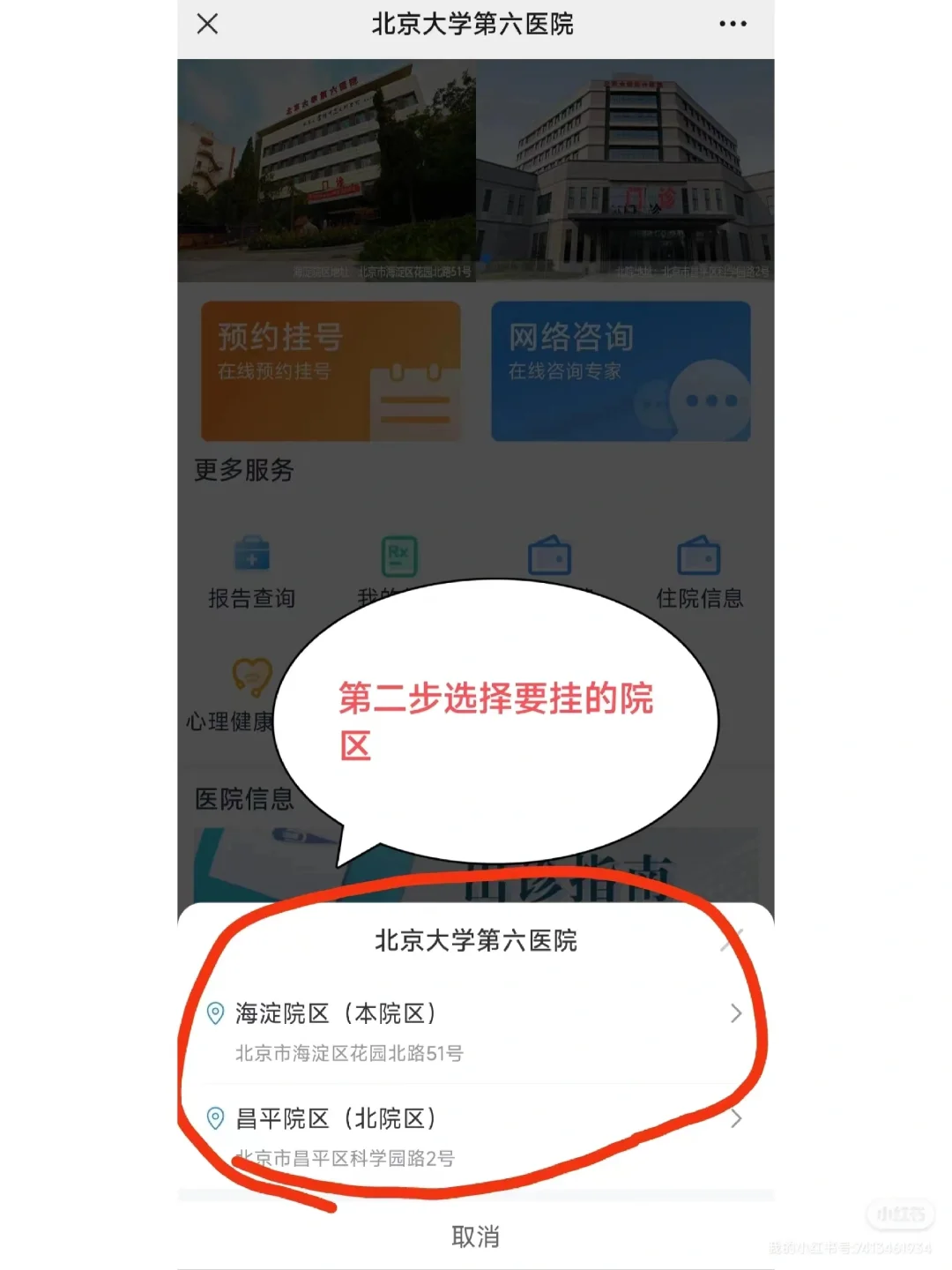 北大第六医院陈爱琴大夫怎么样？怎么挂号？