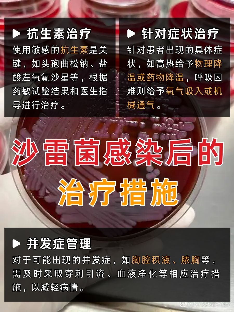 沙雷菌究竟归属何菌类?一文读懂!