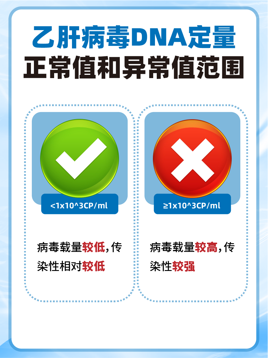 乙肝病毒DNA定量5.00E+2:背后的意义