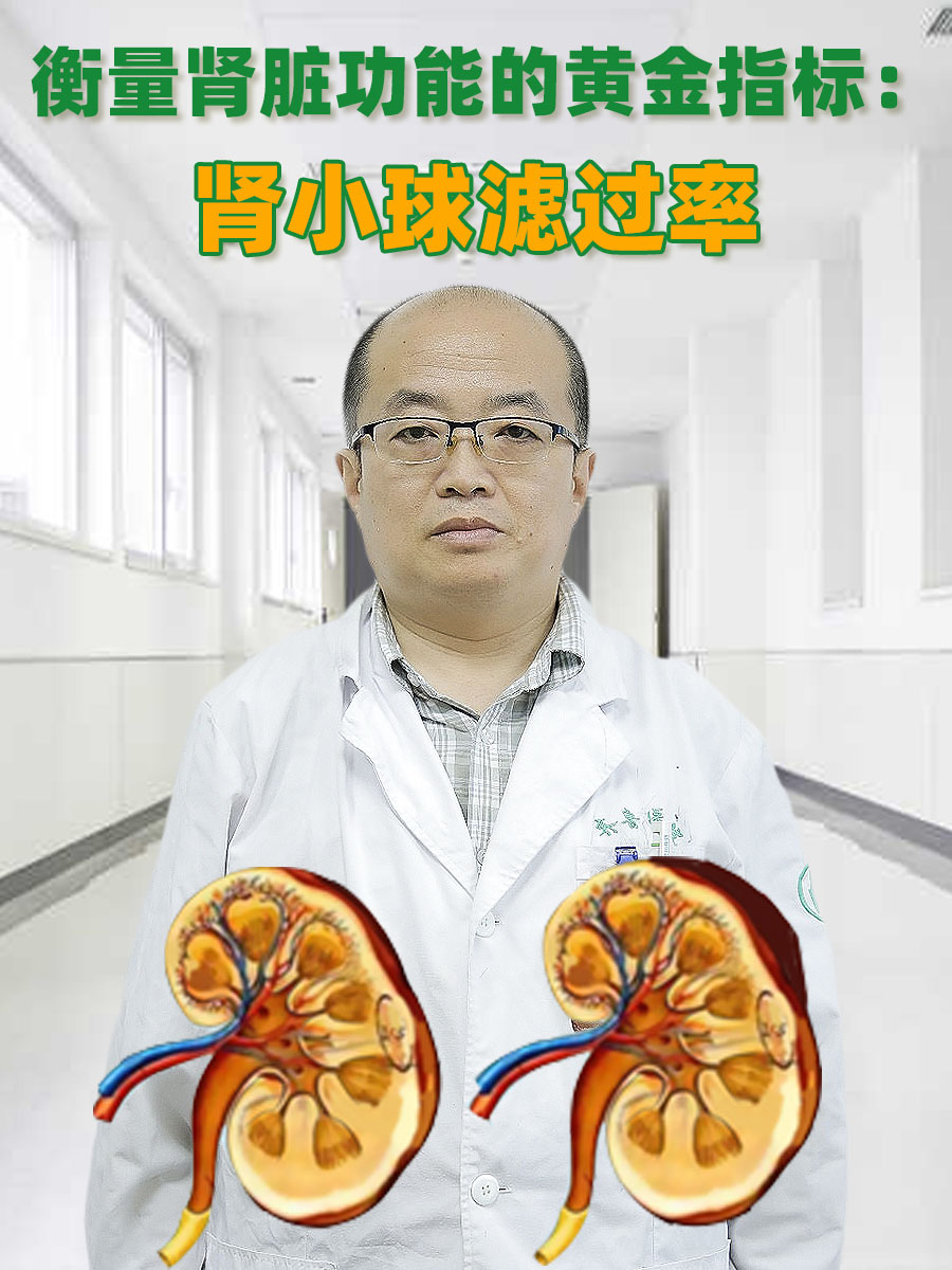 衡量肾脏功能的黄金指标：肾小球滤过率