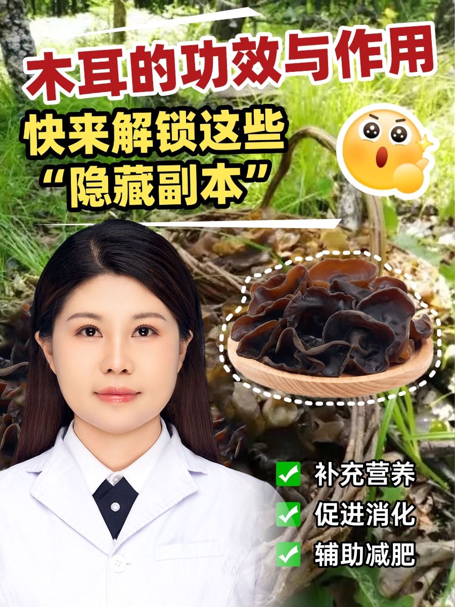 木耳的功效与作用,快来解锁这些“隐藏副本”