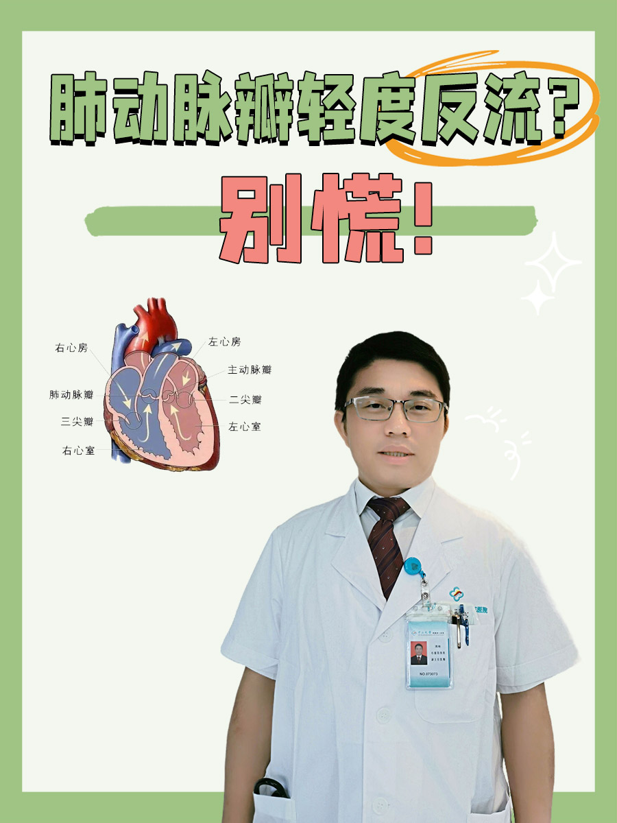 肺动脉瓣轻度反流？别慌！