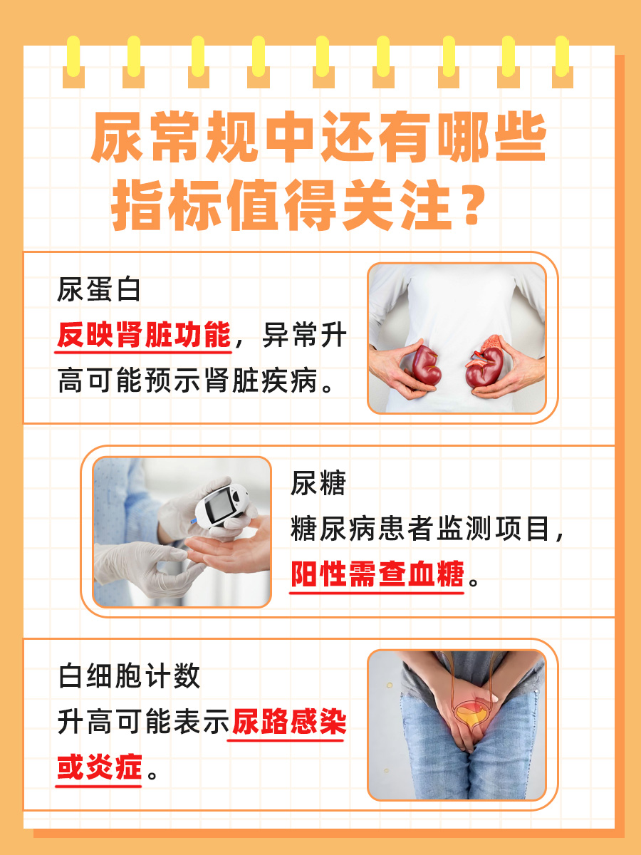 一文解析：尿常规电导率高是什么意思？