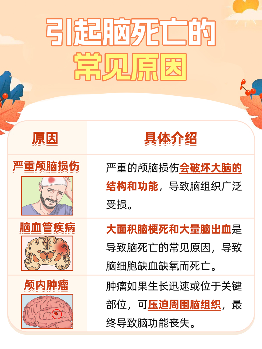 脑死亡名词解释,一篇文章带你了解