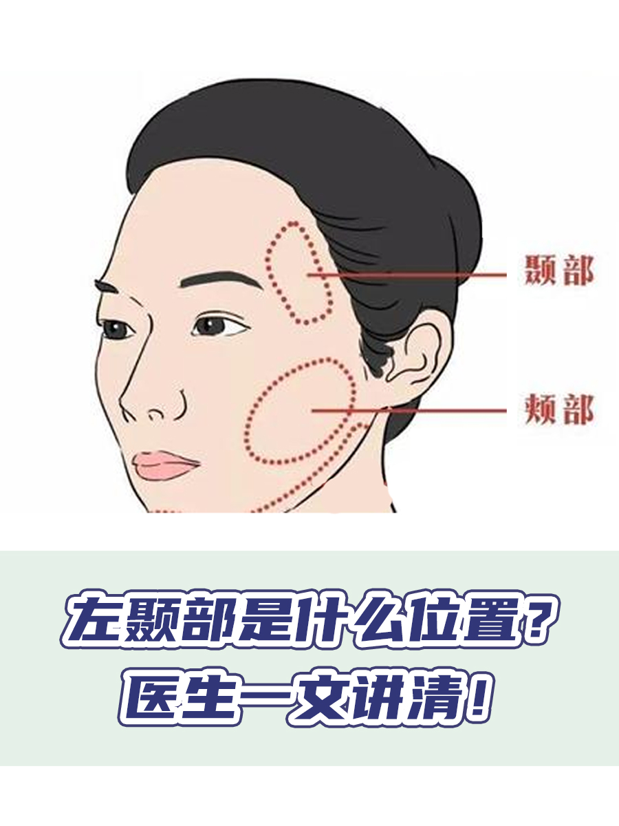 左颞部是什么位置？医生一文讲清！