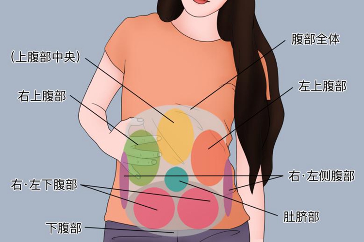 肠鸣音听诊部位图