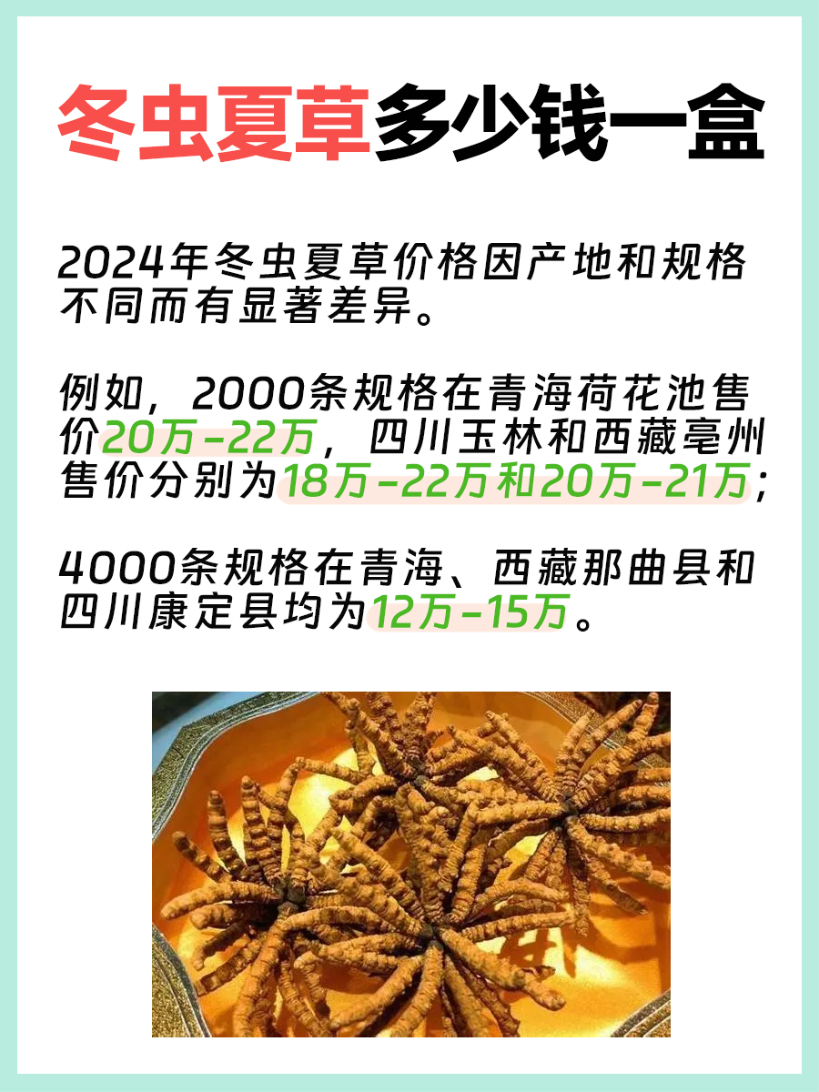 冬虫夏草一盒价格揭秘，竟然这么贵？