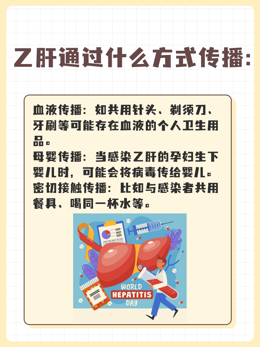 乙肝传播途径揭秘：了解感染风险与预防措施