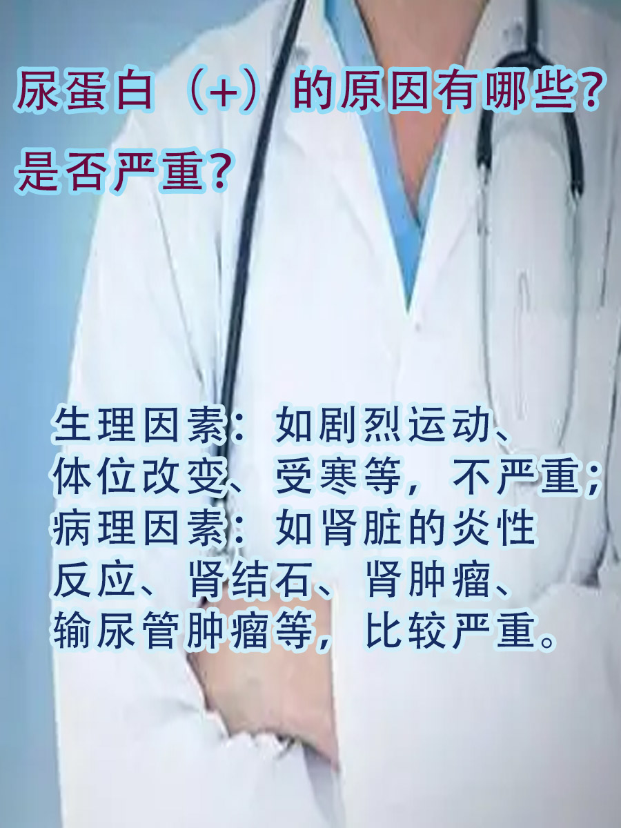 尿蛋白（+），可能与这些原因有关...