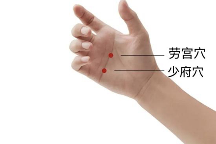 掌中少府位置图