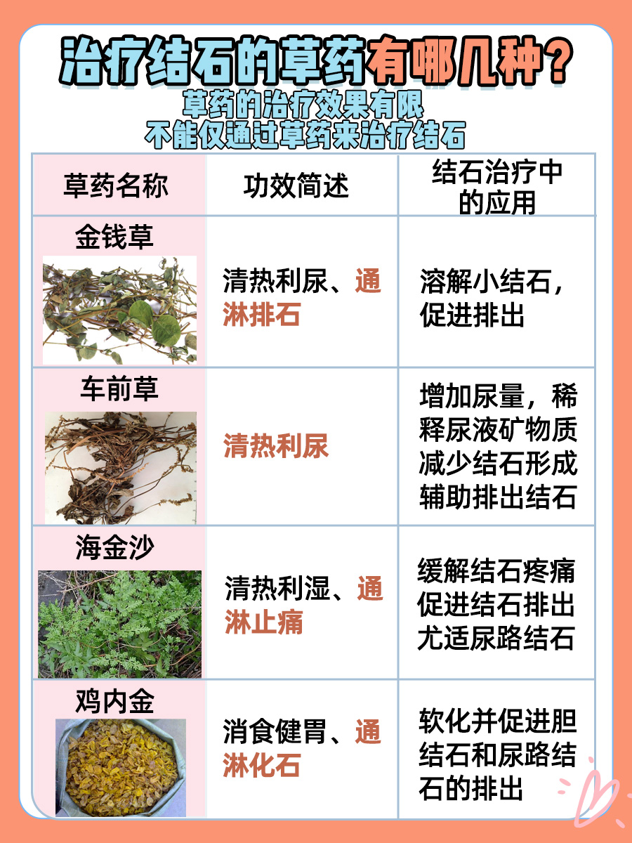 哪些草药能治疗结石问题？看这里