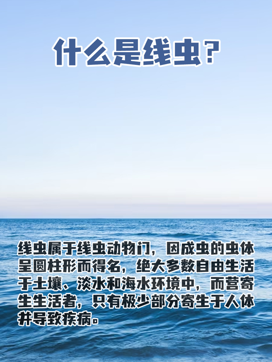 什么是线虫？一文讲清楚！