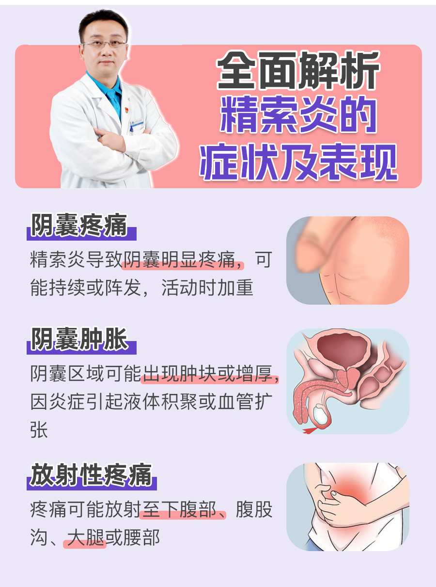 全面解析:精索炎的症状及表现