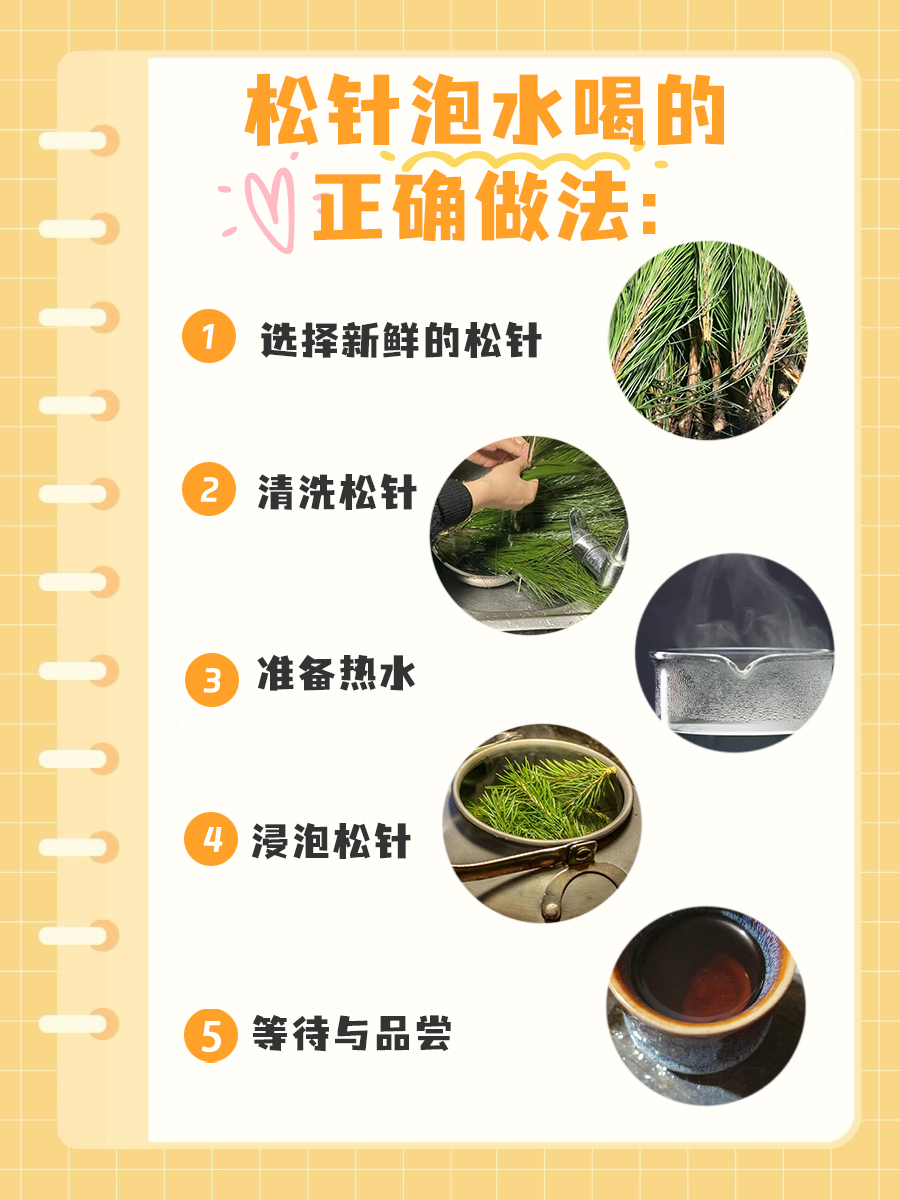 松针泡水喝的正确做法，看看你泡对了没？