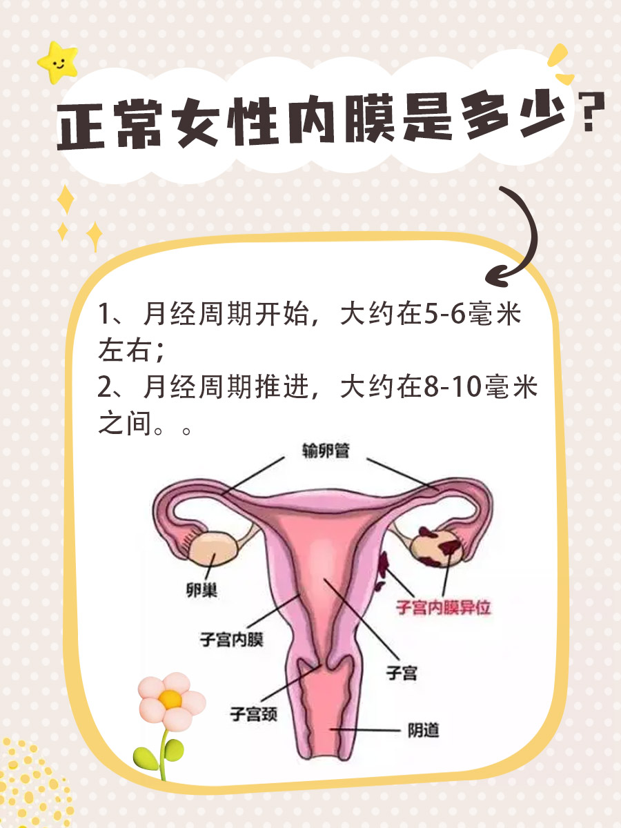 正常女性内膜是多少？答案来了