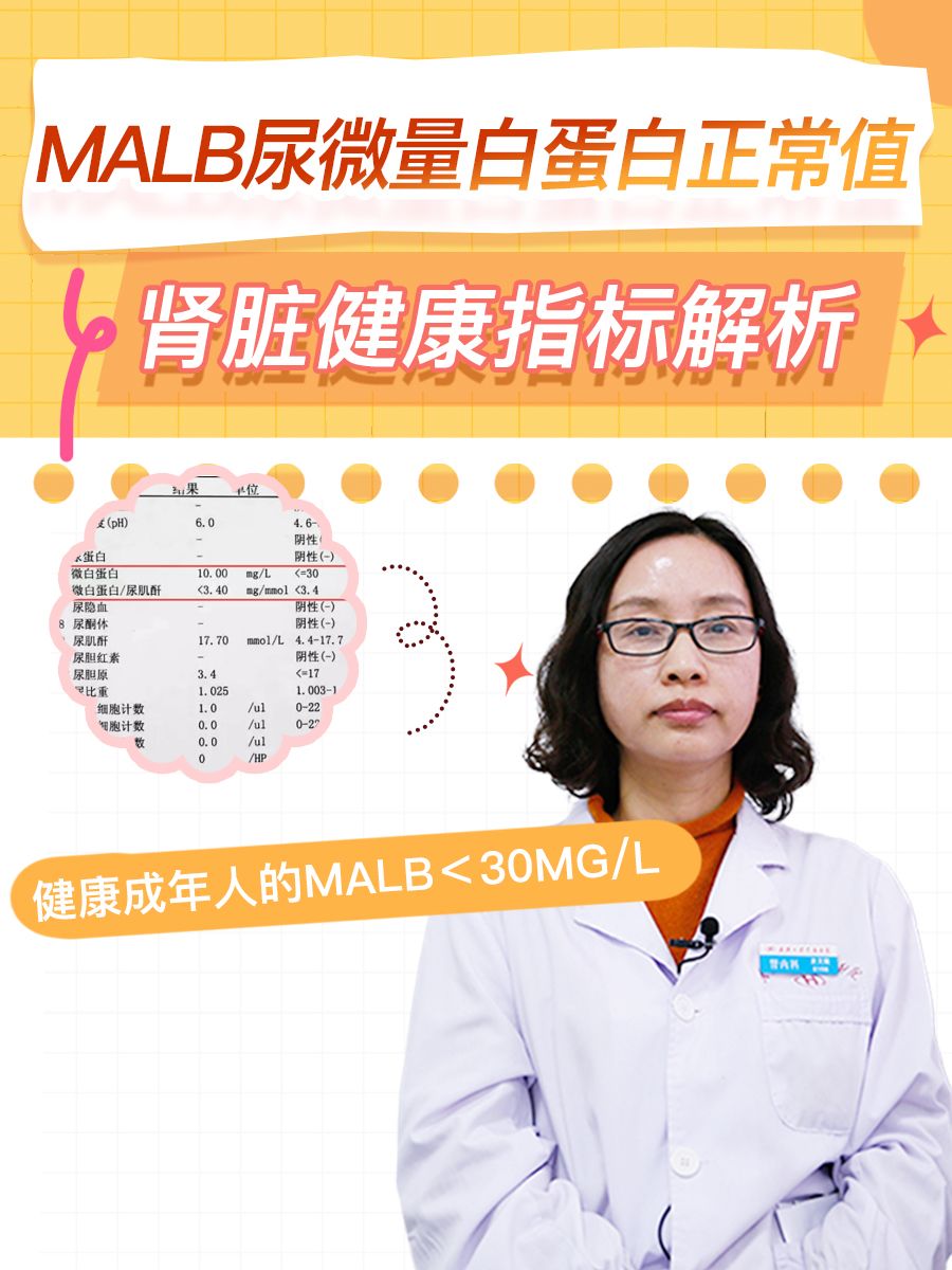 MALB尿微量白蛋白正常值：肾脏健康指标解析