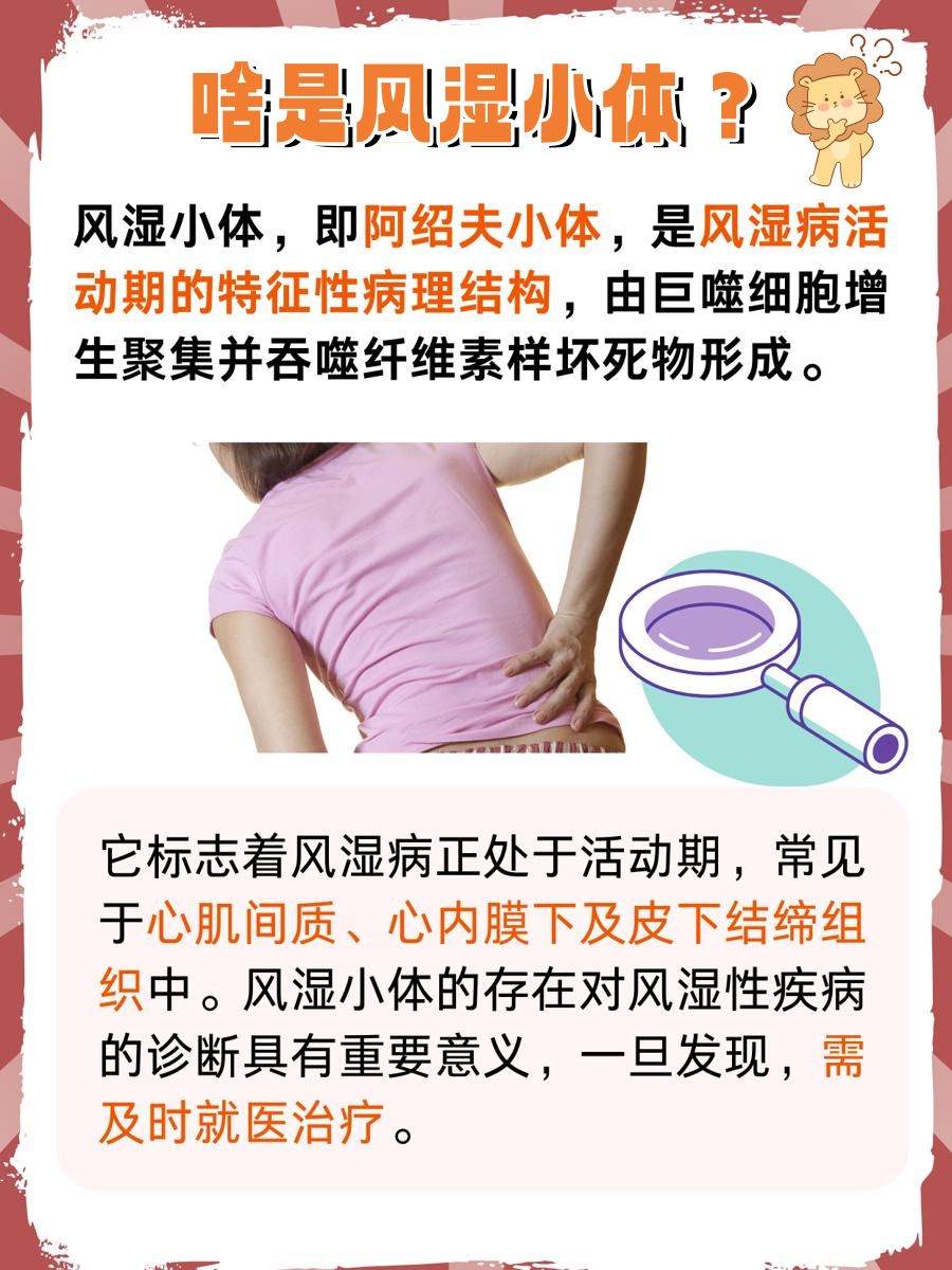 医学名词解释小知识:什么是风湿小体?