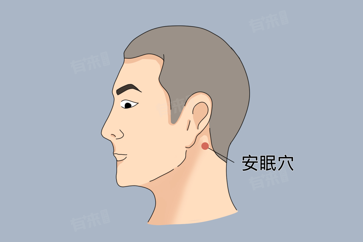 安眠穴位置及功效