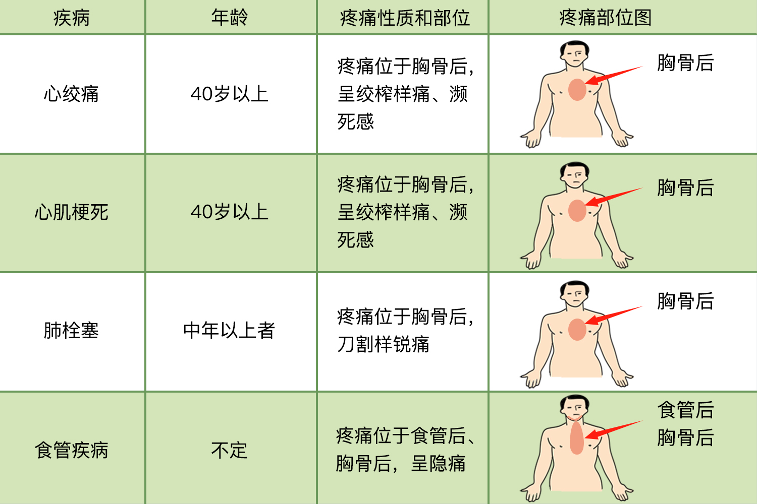 两胸中间疼痛部位对照表