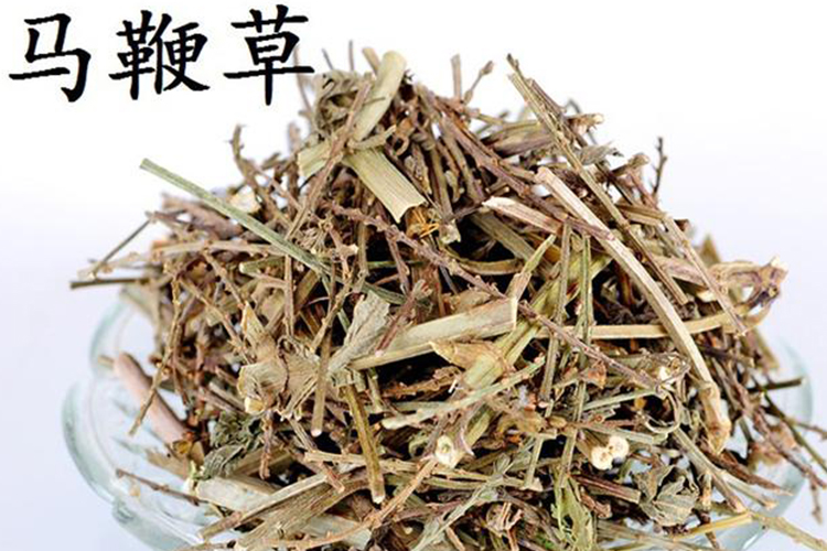 马鞭草药材图