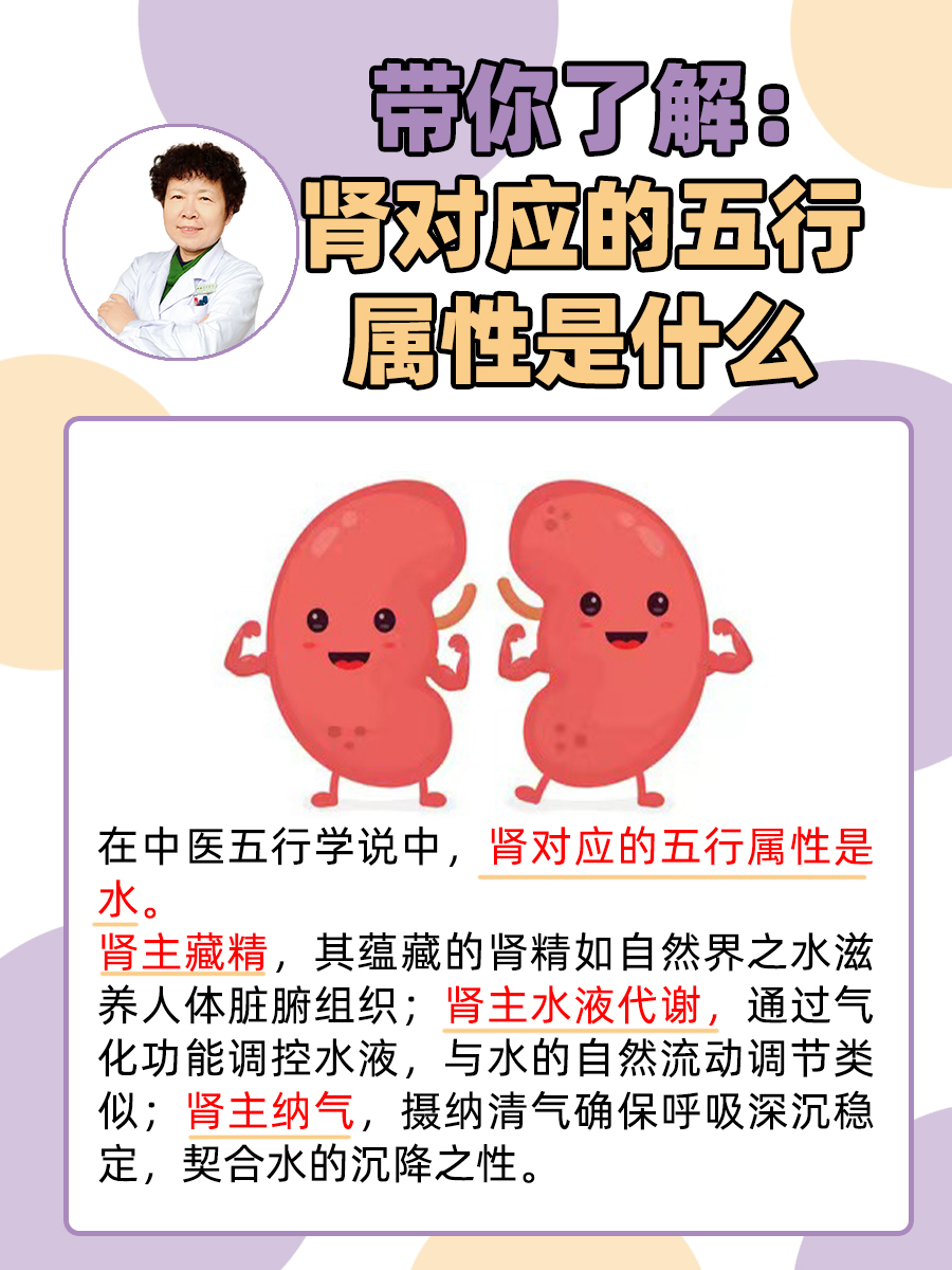 带你了解：肾对应的五行属性是什么