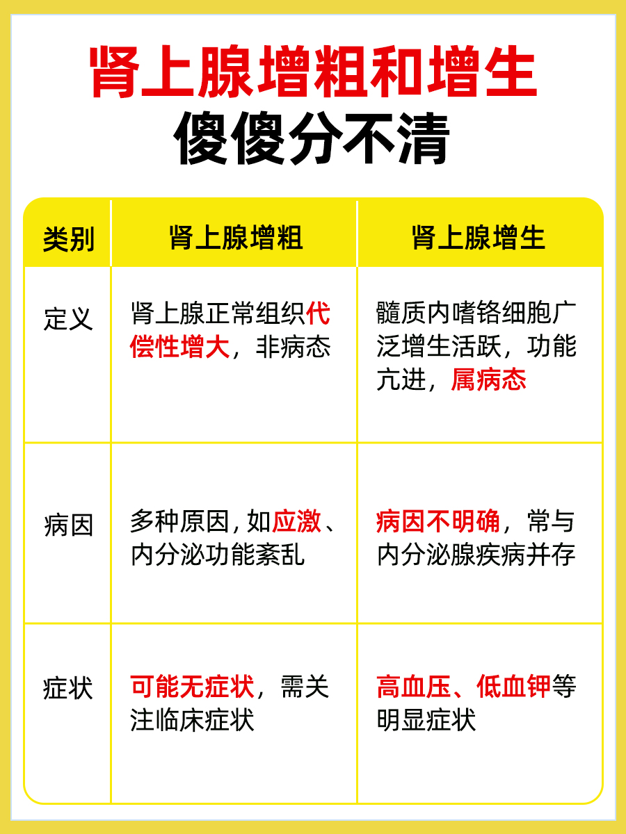 肾上腺增粗VS增生：区别何在？