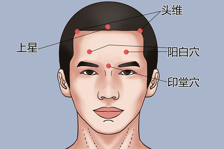 头部正面观穴位分布图