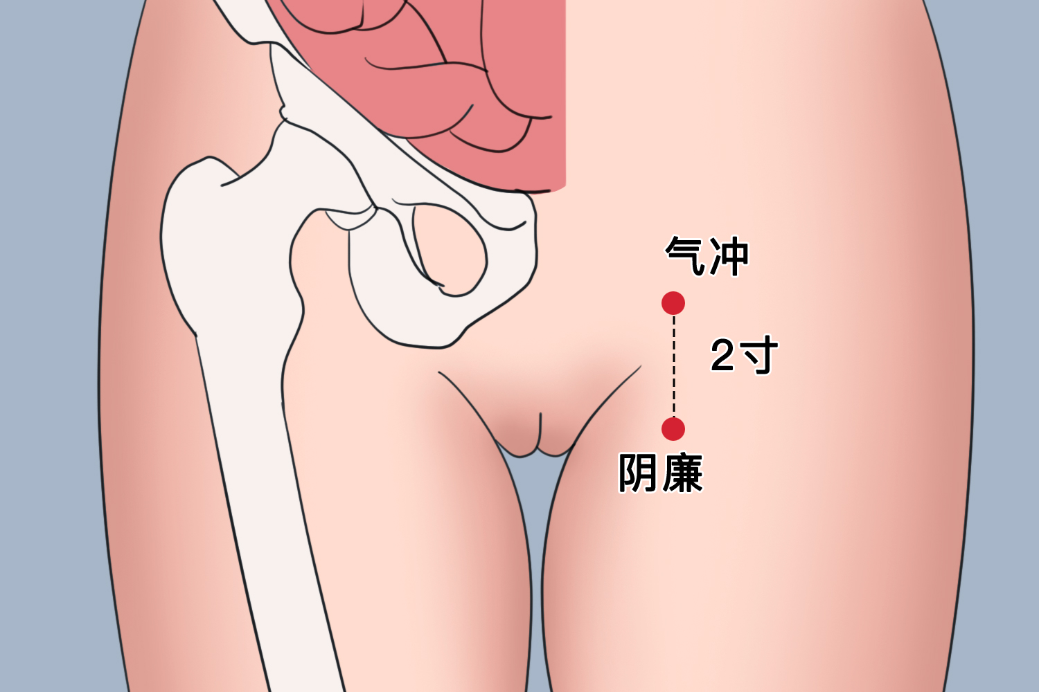 阴廉的位置图片图片