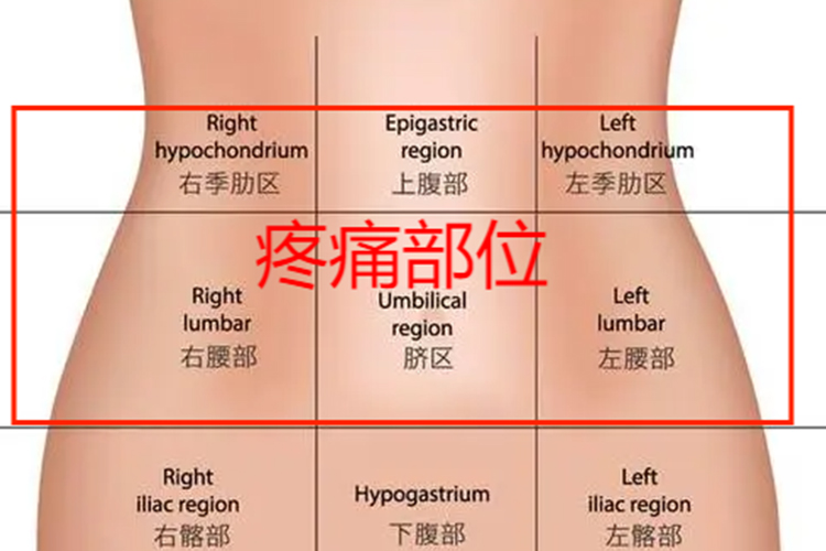 急性出血性肠炎疼痛部位图