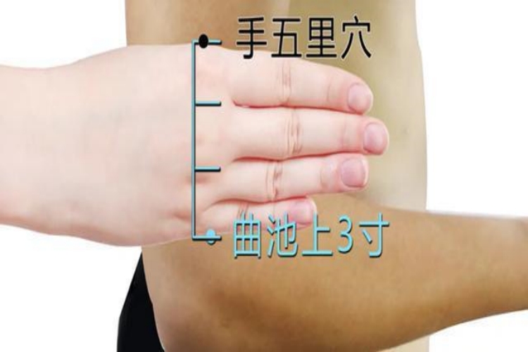 手抽筋按摩哪个部位图片_有来医生